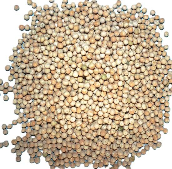 Matar (मटर)-500g