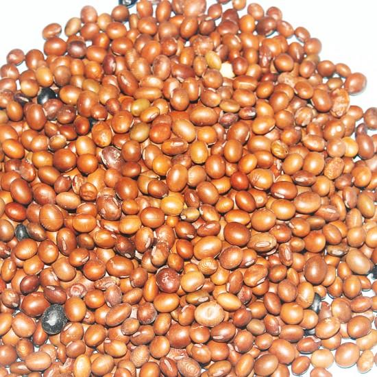 Bhatmas  (भटमास) - 500g