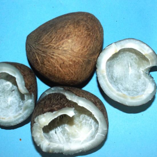 Nariwal (नरिवल)-250g